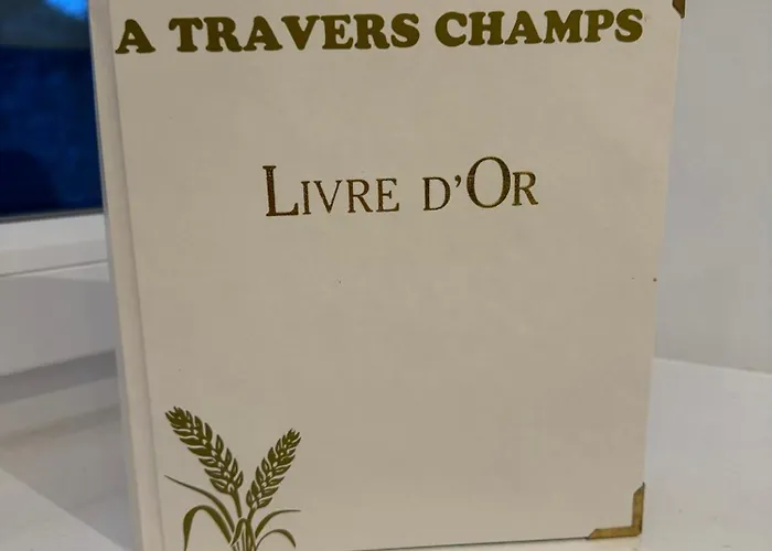 A Travers Champs *